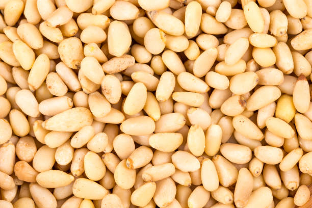 Delicious healthy peeled pine nuts. Delicious healthy peeled pine nuts. Whole background. It occupies the entire surface of the image. Close-up. pine nut stock pictures, royalty-free photos & images