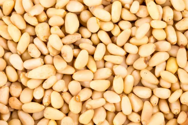 Delicious healthy peeled pine nuts. Whole background. It occupies the entire surface of the image. Close-up.