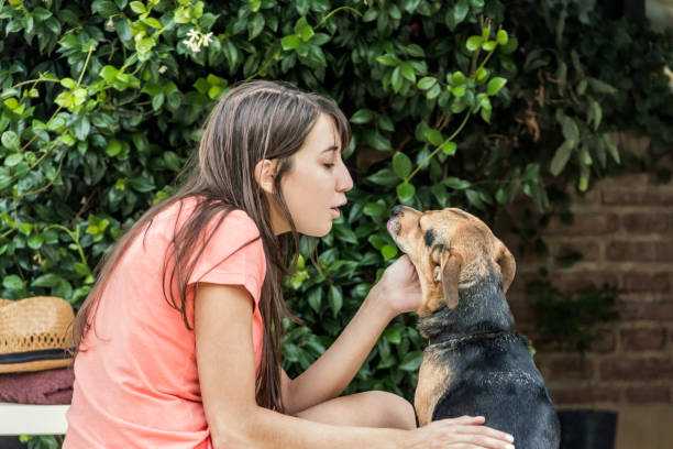 istock Young woman plays with your dog. 1332435730