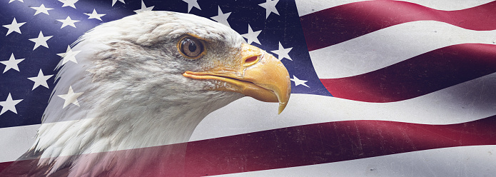 USA flag with eagle