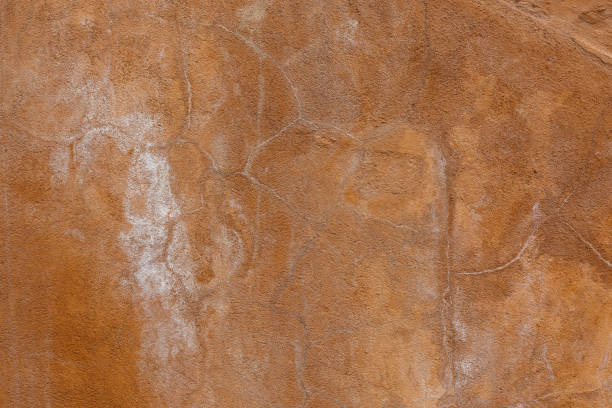 istock brown plaster wall texture with white salt stains 1332442999