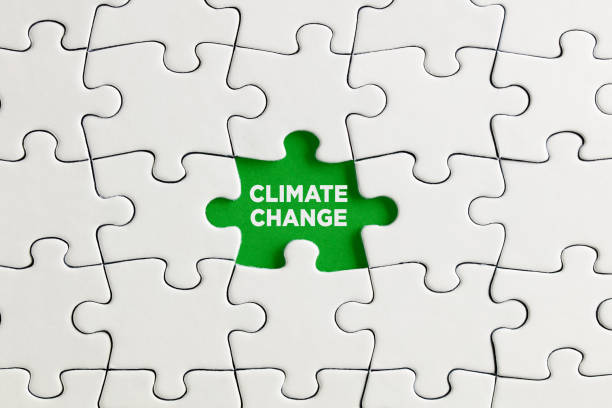 istock Green missing puzzle piece with the word climate change. Deforestation and the damages of climate change 1332443035
