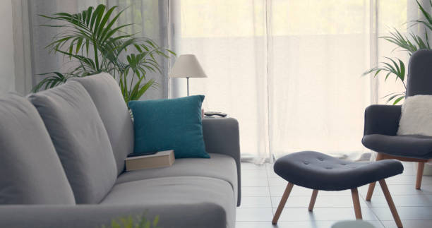 istock Modern living room interior with houseplants 1332443062