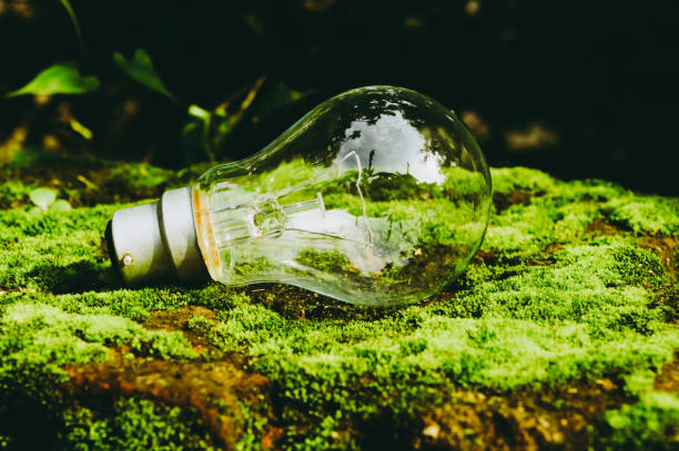 A fluorescent light bulb in sunlight on green nature background. Green business, economy, eco-industries start up ideas innovation background . Go Green to minimize human impact on environment concept una bombilla fluorescente a la luz del sol sobre fondo verde de la naturaleza. negocios verdes, economía, eco-industrias poner en marcha ideas de innovación fondo . go green para minimizar el impacto humano en el concepto de medio ambiente