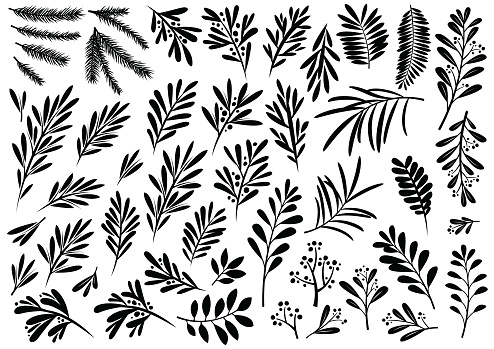 Christmas plants and floral vector designs for use on Christmas cards and promotional advertising.
