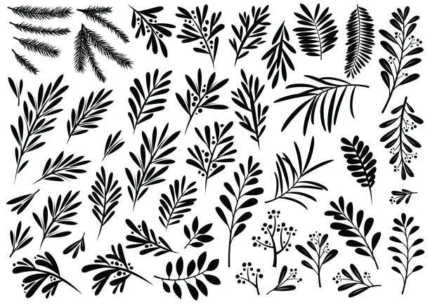Christmas plants and floral patterns Christmas plants and floral vector designs for use on Christmas cards and promotional advertising. winter silhouettes stock illustrations