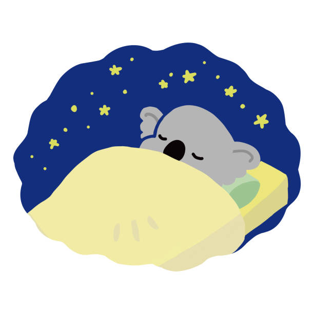 illustrazioni stock, clip art, cartoni animati e icone di tendenza di illustrazione vettoriale animale australiana di un koala che dorme a letto - stuffed animal toy koala australia