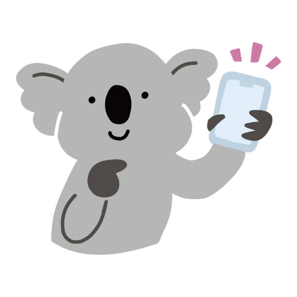 австралийская векторная иллюстрация коалы, держащей смартфон - koala australian culture cartoon animal stock illustrations