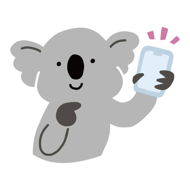 istock Australian animal vector illustration of a koala holding a smartphone 1332446154