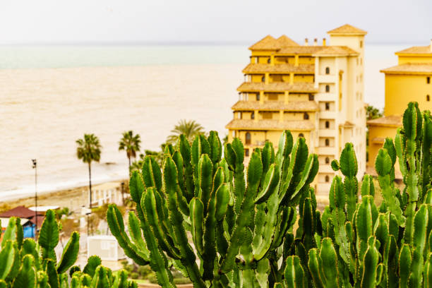 istock Coast in Fuengirola city, Spain 1332456962
