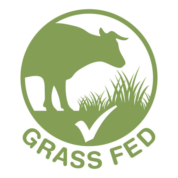 Grass-fed sticker for beef labeling Grass-fed flat sticker for beef labeling - silhouette of cow chewing grass in circular stamp. Isolated vector emblem grass fed stock illustrations