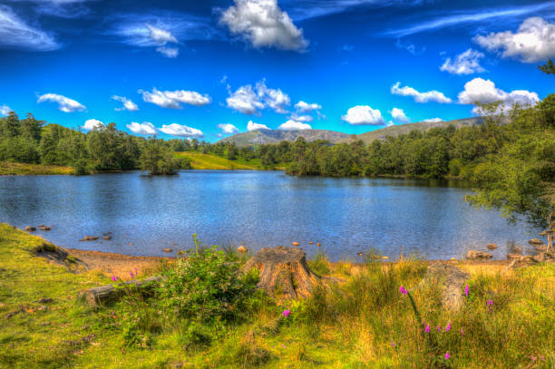 Tarn Hows Lake District National Park England uk near Hawkshead with trees in colourful HDR