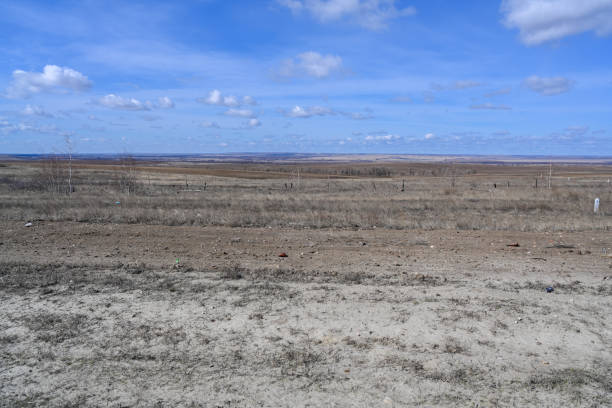 istock The desert steppes, bushes, grass and cloudy sky. Spring. 1332464920
