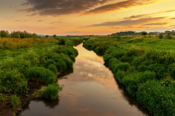 istock Beautiful river during the sunset 1332465318
