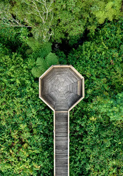 Photo of Aerial view of viewpoint Takamaka's, Reunion Island