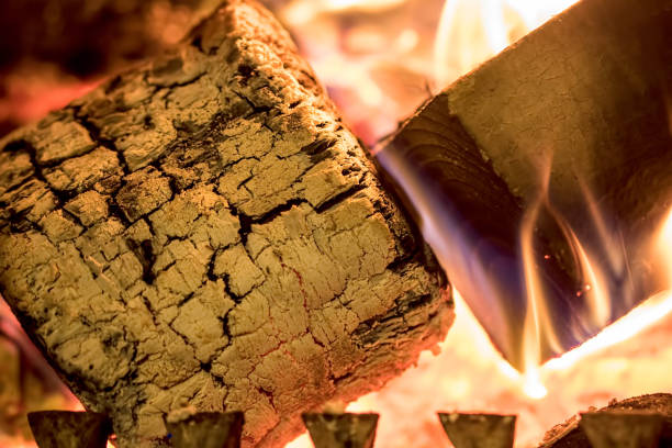 primo piano di un tronco di legna che brucia su un fuoco aperto. - betulla dargento foto e immagini stock
