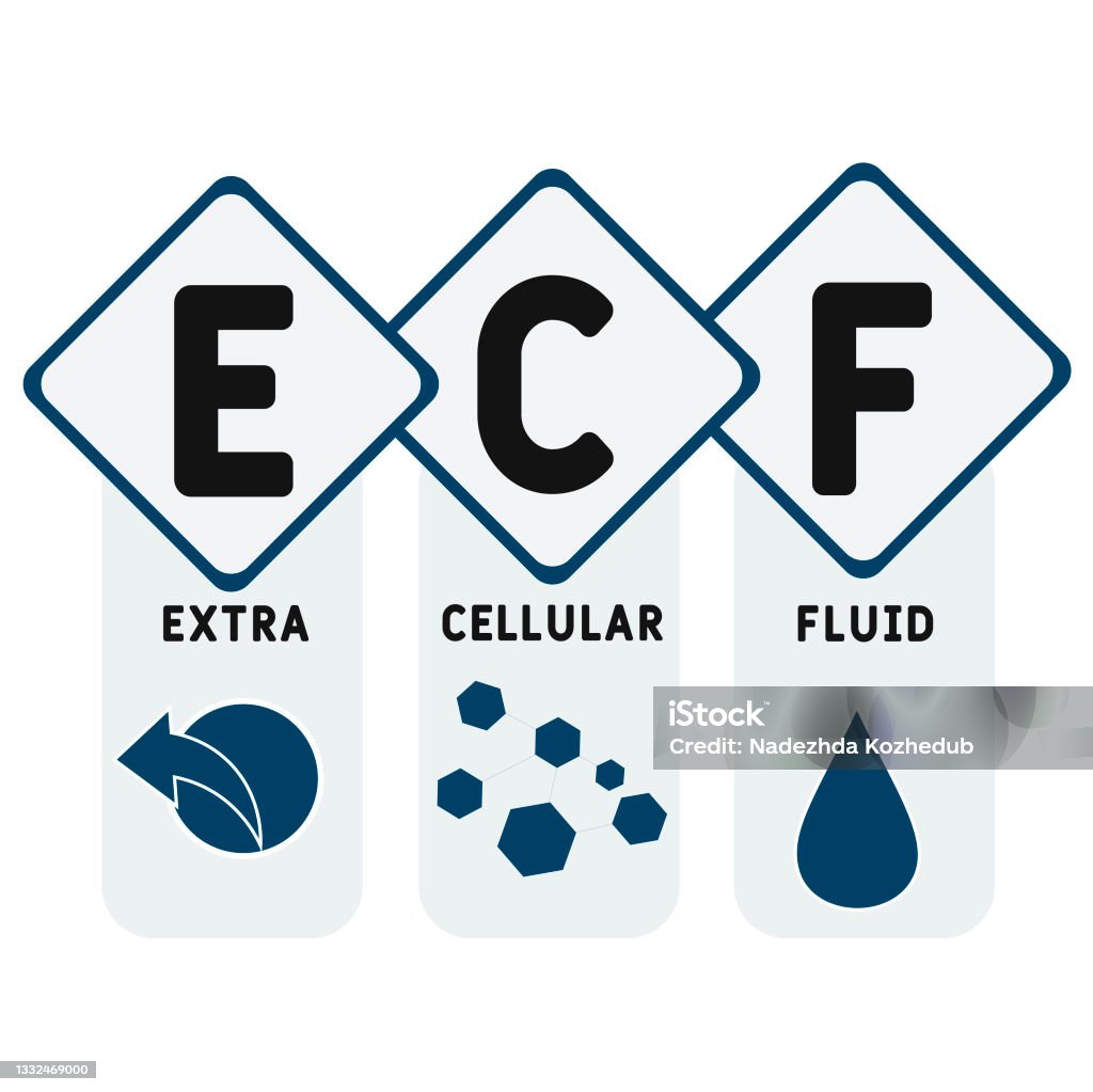 Ecf Icon Ecf Extracellular Fluid Acronym Medical Concept Background Stock ...