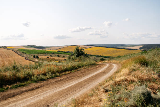 istock Country road 1332469124
