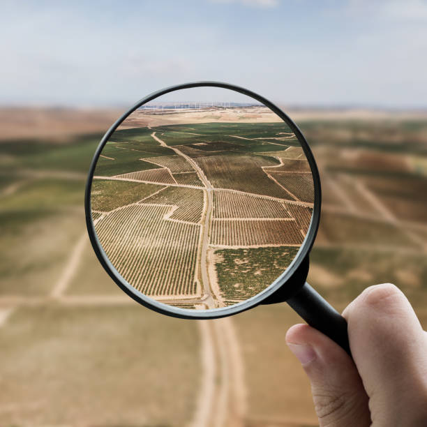 istock Magnifying glass focusing on agriculture 1332470076