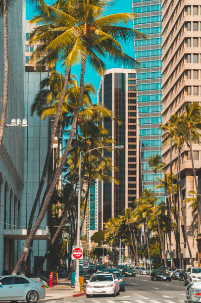 Sunny street view of downtown Honolulu with palm trees and busy traffic.