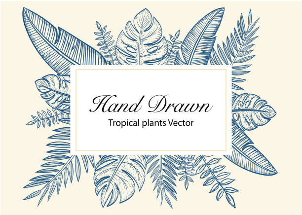 熱帯植物は、ベクトルで手描きの背景を残します - kamada点のイラスト素材／クリップアート素材／マンガ素材／アイコン素材