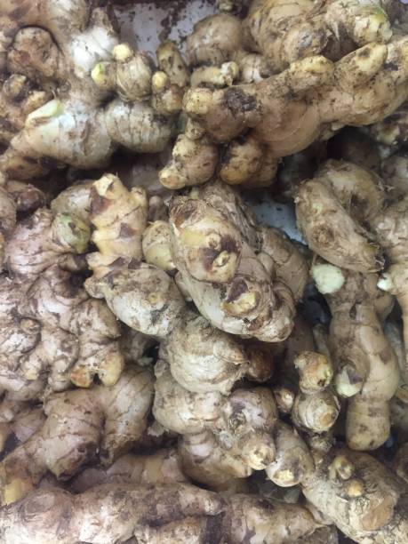istock Pile of fresh ginger chilies. 1332472499
