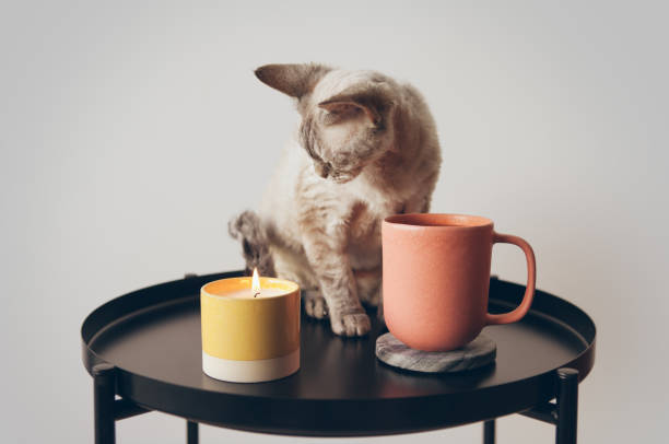 Resting at home after work day. Drinking cup of tea from ceramic cup, enjoying candle light and aromatherapy.