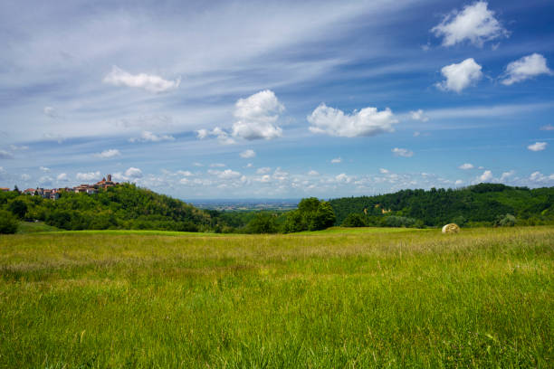 istock Landscape on the Tortona hills at springtime. 1332476798