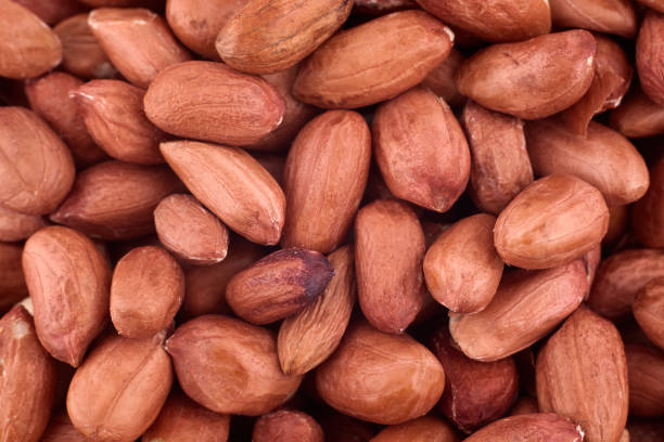 istock Unpeeled peanuts texture background, copy space. Abstract background. Peanut, groundnut, goober. Food  photography. Top view, flat lay. Nuts pattern 1332476823