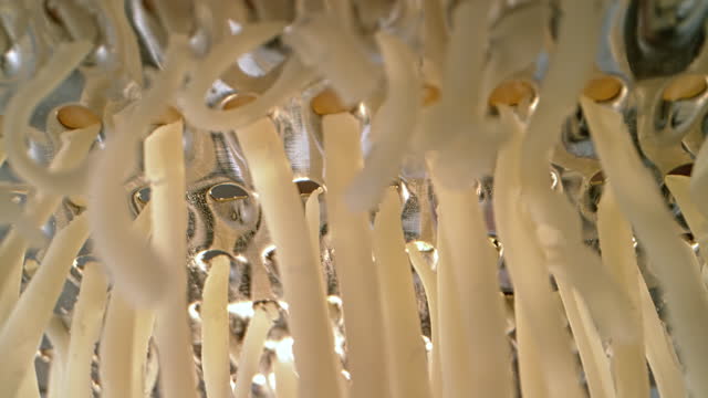 SLO MO LD Cheese strands falling off the grater