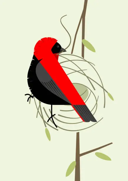 Vector illustration of Red bishop making a nest