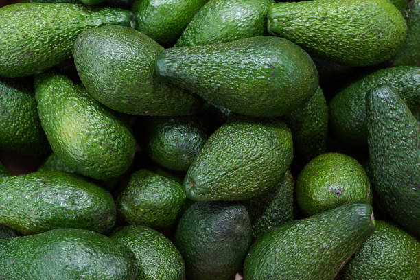 avocado biologico fresco al mercato contadino, cibo sano - textured nobody close up seed foto e immagini stock