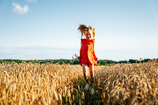 Summer scene - a little girl wearing red polka dot dress jumping in a field of wheat and smiling. Blue cloudy sky is on the background.