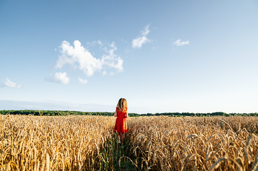 Summer scene - a little girl wearing red polka dot dress standing in a field of wheat and looking into the distance. Blue cloudy sky is on the background.