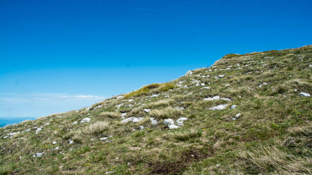 istock Beautiful mountain landscape, The dry mountain 1332483577