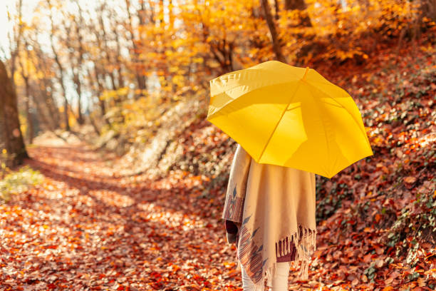 istock Woman holding an umbrella taking a walk through forest 1332484255