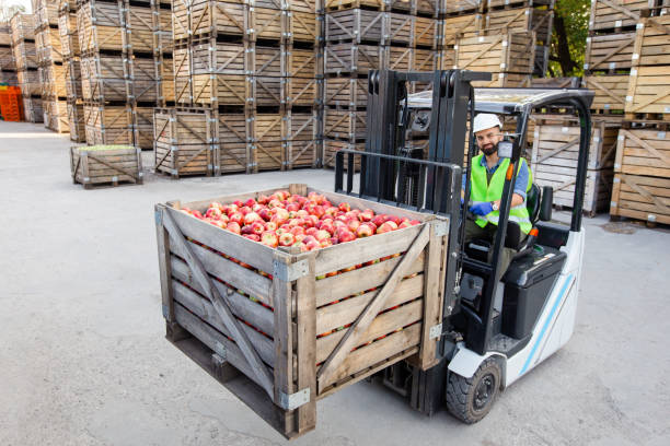 istock Harvest control, loading, lifting and delivery at warehouse, food business 1332486456