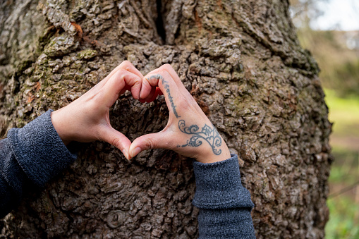 A close-up shot of an unrecognizable woman making a heart shape with her hands next to the surface of a tree in the North East of England. She loves nature.