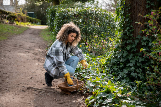 Filling Her Basket with Wild Plants