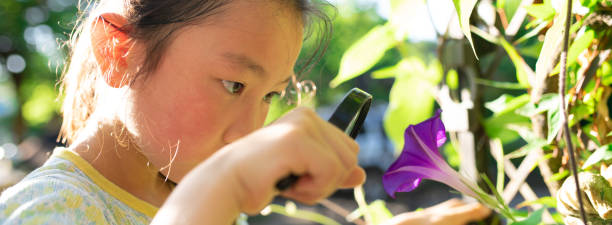 istock Girl observes morning glory with magnifying glass 1332488246