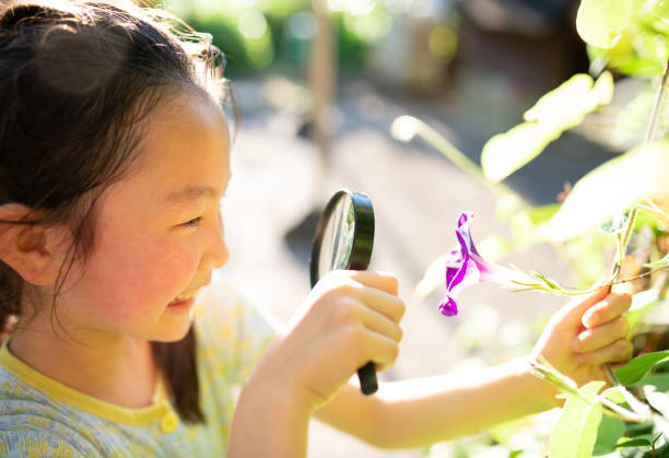 istock Girl observes morning glory with magnifying glass 1332488248