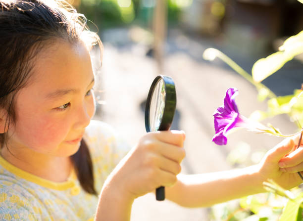 istock Girl observes morning glory with magnifying glass 1332488264