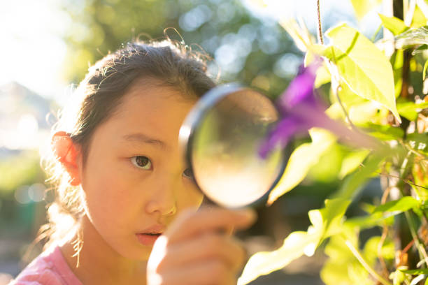 istock Girl observes morning glory with magnifying glass 1332488294