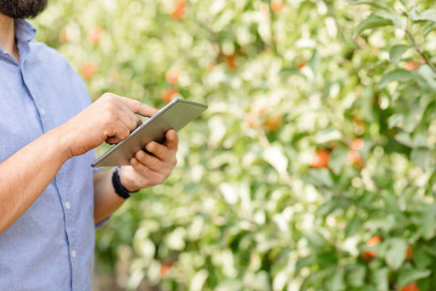 istock Modern tech with mobile app for working online in eco garden 1332489738
