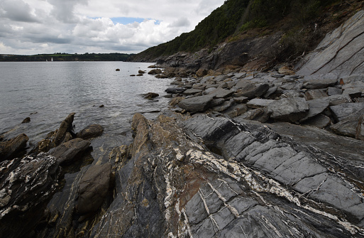 The shoreline of The River Helford Cornwall
