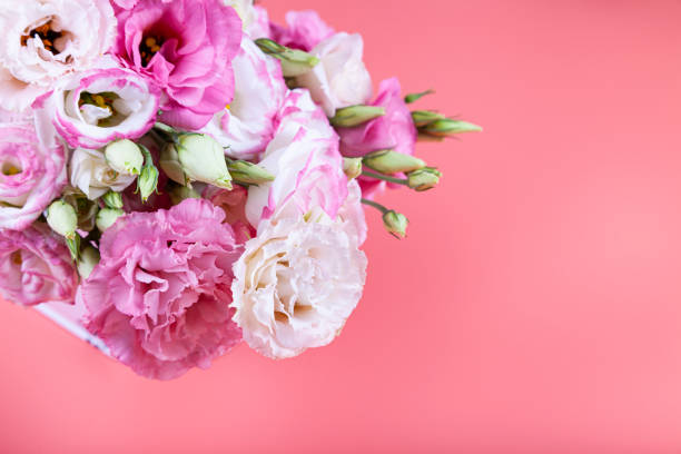istock Border of flowers on a pink background. 1332491625