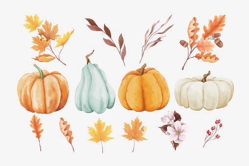 Set of autumn leaves and pumpkins in watercolor style