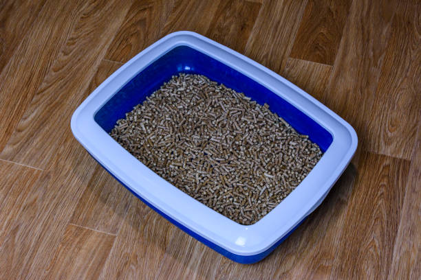 istock Pet litter box with filler on a floor 1332494932