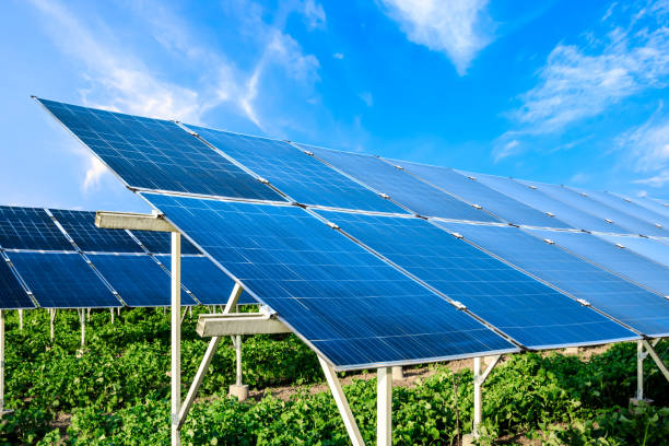 istock Clean solar panels and beautiful natural landscape 1332496888