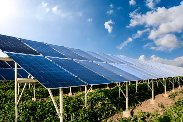 istock Clean solar panels and beautiful natural landscape 1332497447